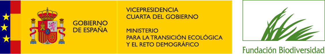 GOBIERNO DE ESPAÑA