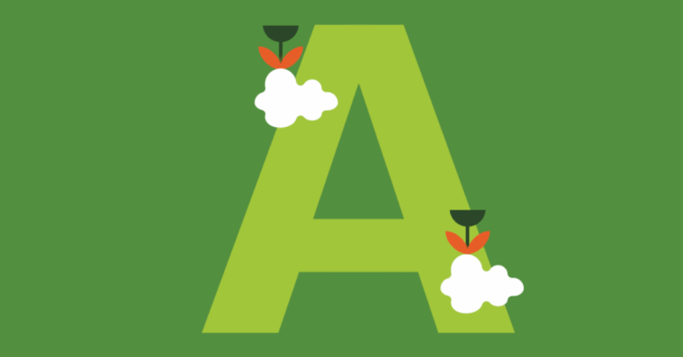 CONAMA 2024: Informe